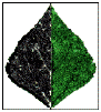 DGSP
