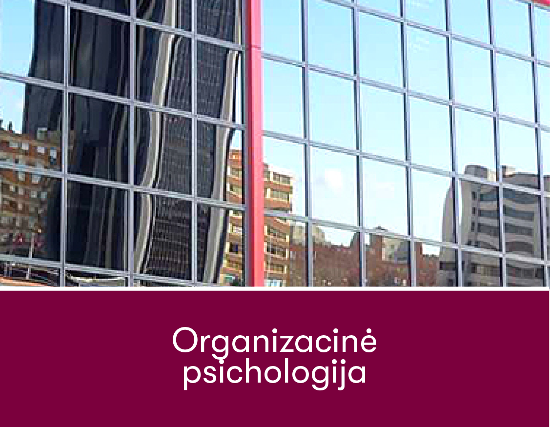 10 OrganizacinėPI