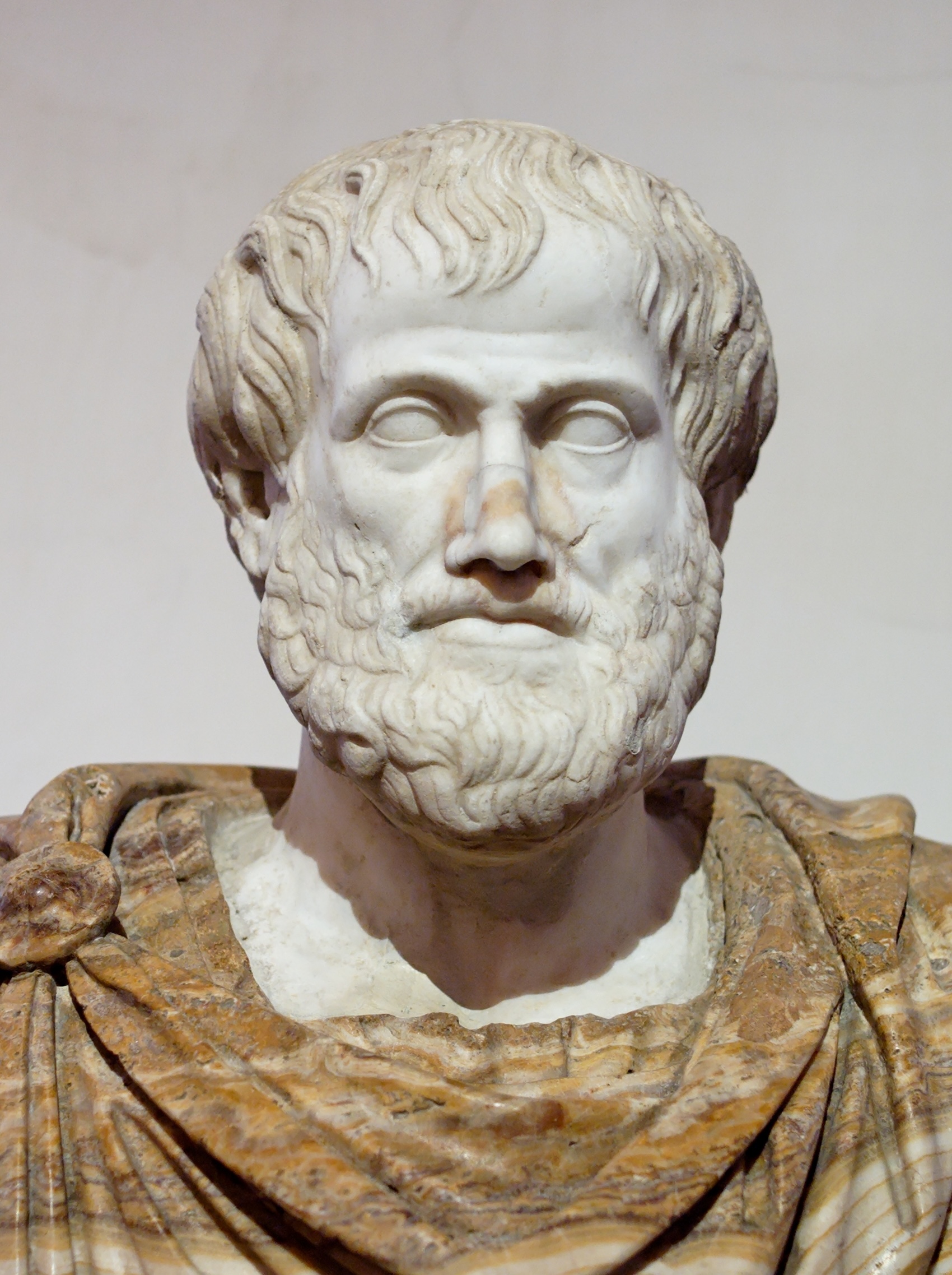 002 Aristotelis skulptoriaus Lysippos sukurtas biustas. Museo nazionale romano di palazzo Altemps. Nuotrauka iš Wikimedia