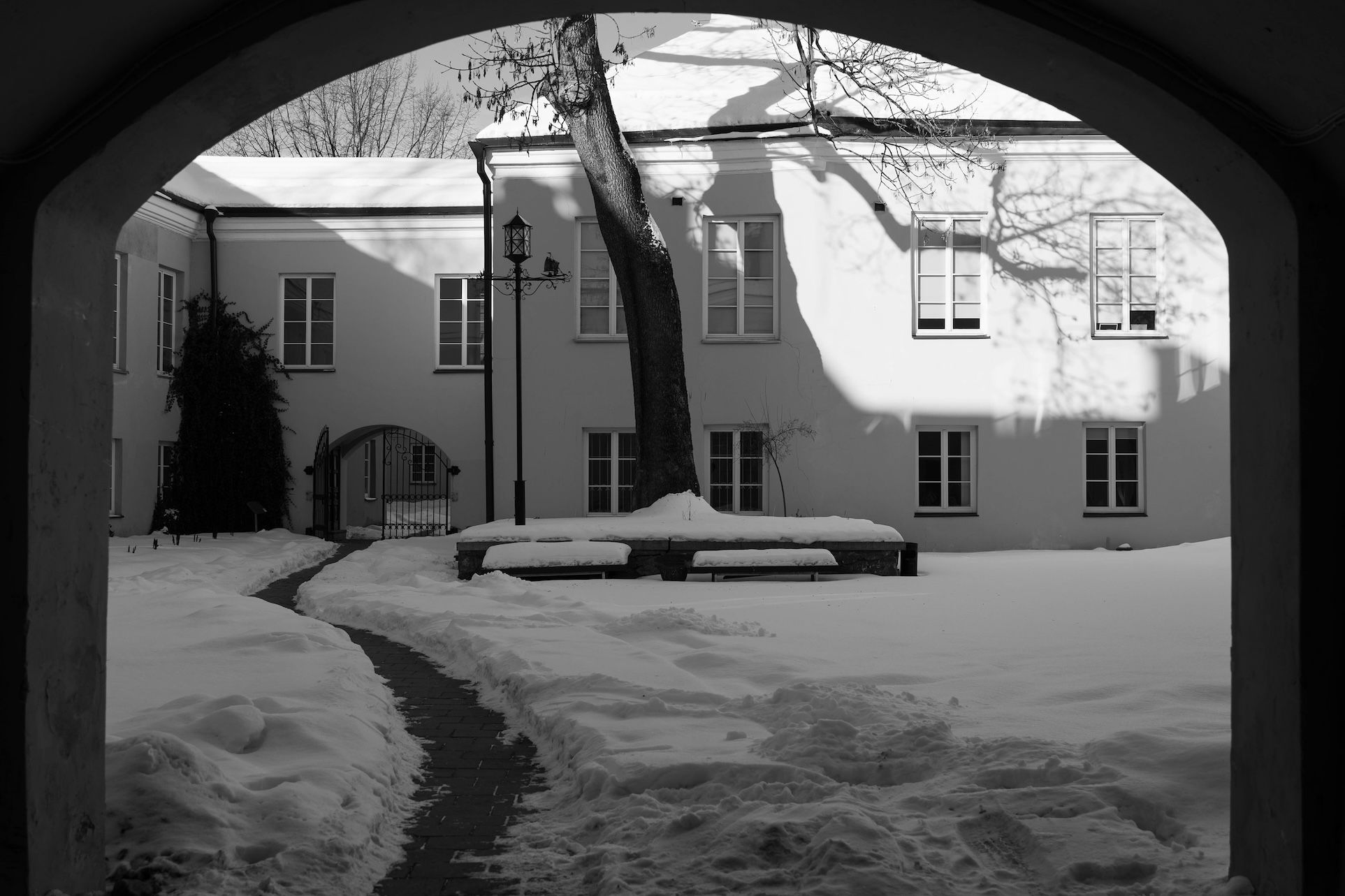 Vilniaus universiteto kiemelis. Antano Voznikaičio VU FsF nuotrauka