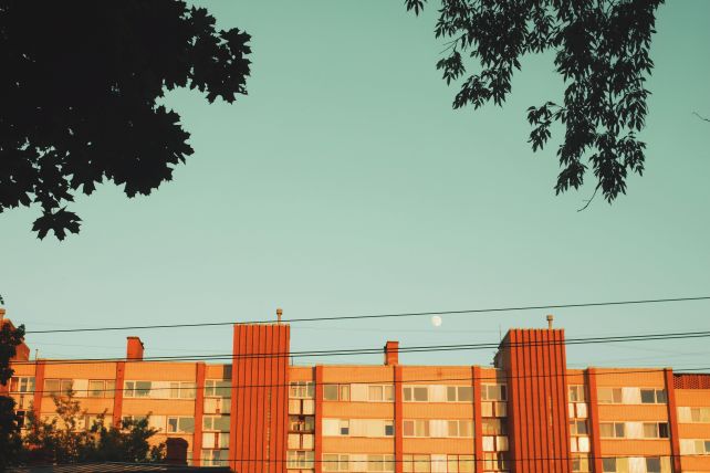 anna auza krF5IaVFAmw unsplash 1