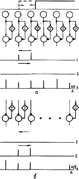 contour detection