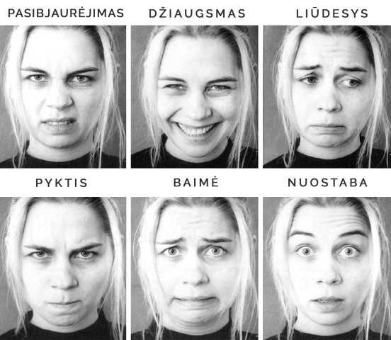 6 Emocijos Small